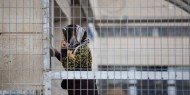38 أسيرة يتعرضن للقهر والتنكيل في سجون الاحتلال