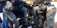 الاحتلال يعتقل 11 مواطنا من قرية الأطرش في النقب