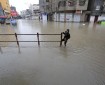 خاص بالفيديو|| غرق شوارع ومنازل في غزة نتيجة استمرار هطول الأمطار