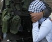 الاحتلال يعتقل فتى في بيت لحم