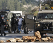 الاحتلال يعتقل 4 مواطنين من الضفة