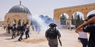 «حقوق الإنسان العربية» تطالب لجنة التحقيق الدولية بالإسراع في إصدار تقريرها لمحاسبة الاحتلال