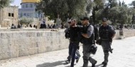 الاحتلال يعتقل 5 مرابطين من «الأقصى»