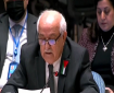 فيديو|| بدء جلسة النقاش المفتوح في مجلس الأمن حول الشرق الأوسط والقضية الفلسطينية