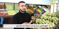 تطور أساليب زراعة وتخزين الفواكه في فلسطين