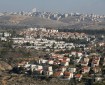 جدعون ليفي: "إسرائيل" مجرد مستوطنات والإعلام العبري يتجاهل معاناة الفلسطينيين في غزة