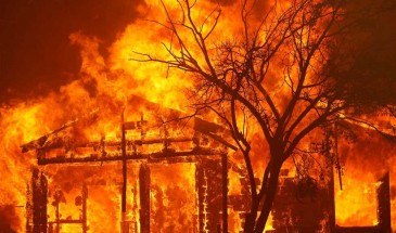 ولاية تكساس الأمريكية تعلن حالة الكارثة وسط انتشار حرائق الغابات