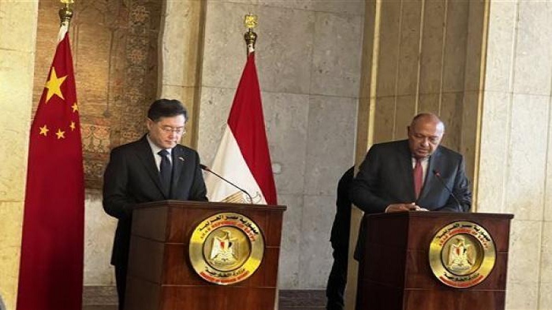 شكري ونظيره الصيني في أول زيارة له لمصر